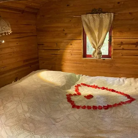 Bed & Breakfast D'hotes Les Toits Du Gaou 3*